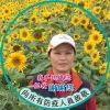 かに小玉の幸福食堂