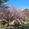 阿哞廚房