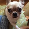 懶人廚房