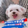 July Peng