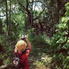 陳61