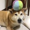 小海廚房