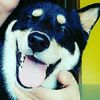 🐾三不五時泡廚房