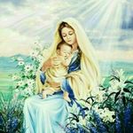 Lian Mei Lin 的個人照片