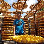 陳國秦 的個人照片