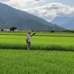 Michielle Wu 的個人照片