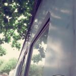 日照熊 的個人照片