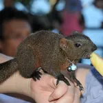 林慧敏 的個人照片