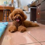 Genius  Lin 的個人照片