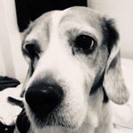 Joanne Chou 的個人照片