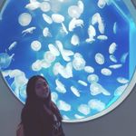 劉郁彤 的個人照片