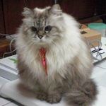 Wendy Huang 的個人照片