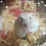 Fiona  Hsieh 的個人照片