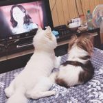 林容容 的個人照片