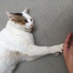 raralin 的個人照片