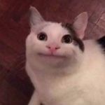 Vivi Wu 的個人照片