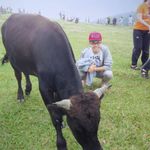 洪伯瑋 的個人照片