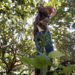 陳修 的個人照片