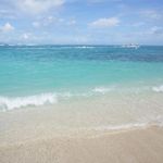 陳婉婷 的個人照片