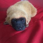 Orva Wen 的個人照片