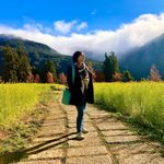 Yenling Pan 的個人照片