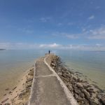 sarah56 的個人照片