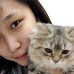 懶惰女的崩潰廚房🐷