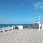 Michelle  Chang 的個人照片