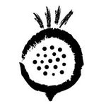 遇見蔬食 的個人照片