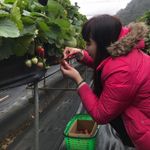 黃婉婷 的個人照片