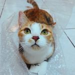 Li Ke D 的個人照片