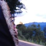 Wei Lin 的個人照片