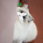 简美慧 的個人照片