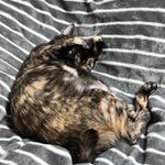 Jieeee 的個人照片