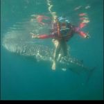 吳蕙如 的個人照片