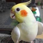 鍾崑崑 的個人照片