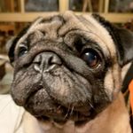 Hsin Chen 的個人照片