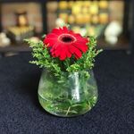 Crystal Chong 的個人照片