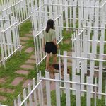 鄭婕妤 的個人照片