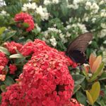 Cr Chung 的個人照片