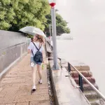 100000488594308