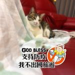 洪思佳 的個人照片