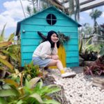 Yingshu Yang 的個人照片