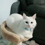 Nancy 的個人照片