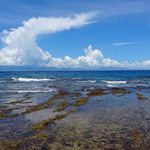 Ellie Fu 的個人照片