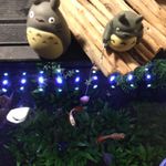 Mandy 的個人照片