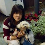 朱秀美 的個人照片