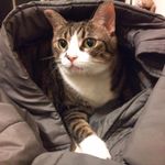 Yusquare Yeh 的個人照片