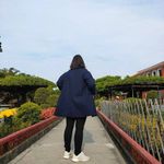 趙芝萓 的個人照片