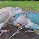 啊蝶 的個人照片